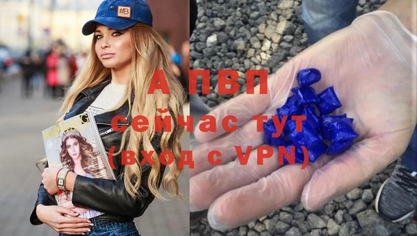 эйфоретик Магадан
