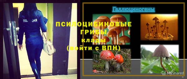 гидра Магас