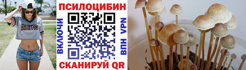 купить наркотик  Нерюнгри  площадка телеграм  Галлюциногенные грибы MAGIC MUSHROOMS 
