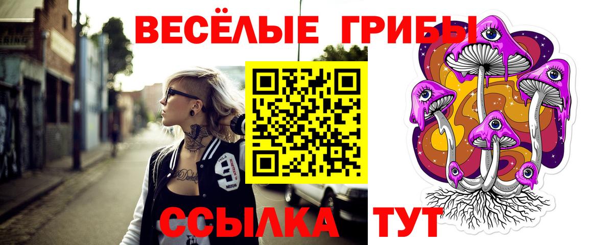 Галлюциногенные грибы Magic Shrooms  Галлюциногенные грибы мицелий  Нерюнгри 