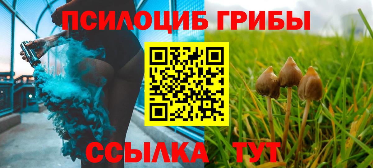 Галлюциногенные грибы прущие грибы Нерюнгри