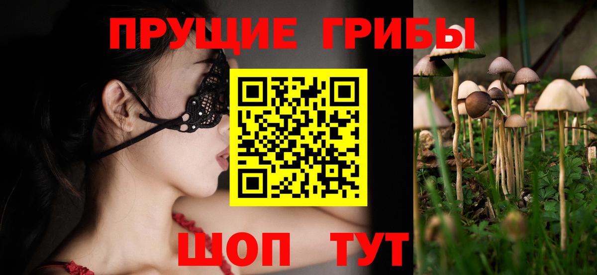 Псилоцибиновые грибы GOLDEN TEACHER  Вход с VPN  Нерюнгри 